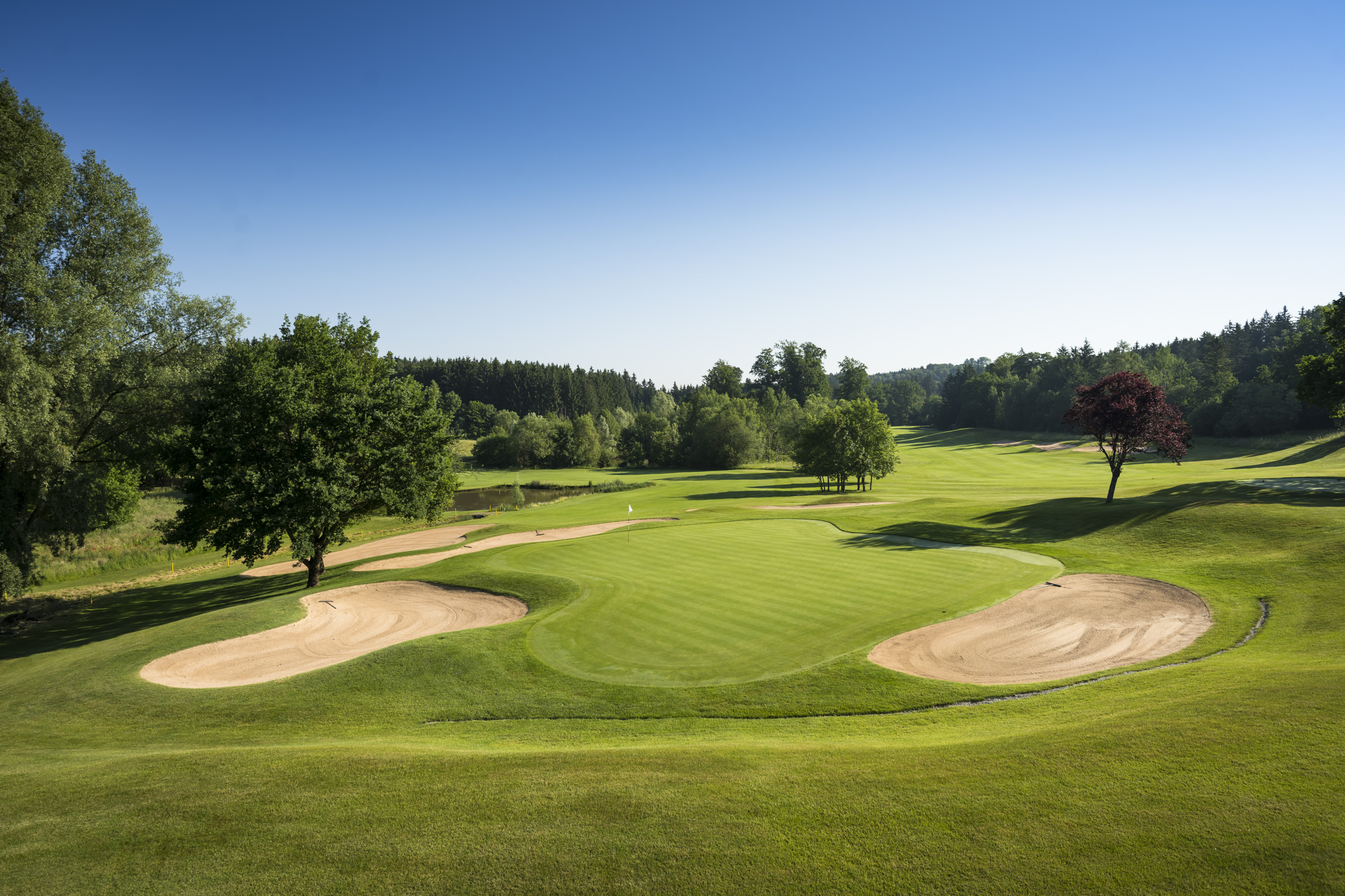 Golfanlage mit breiten Fairways und Bäumen