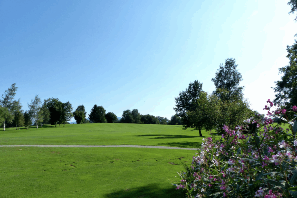 Golfclub-Iffeldorf